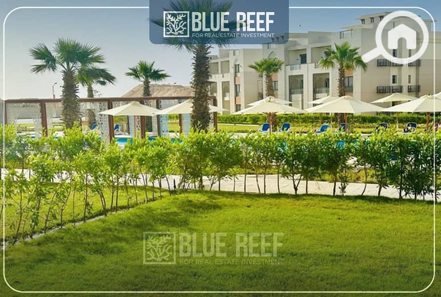 6 12345فغاى. jpg