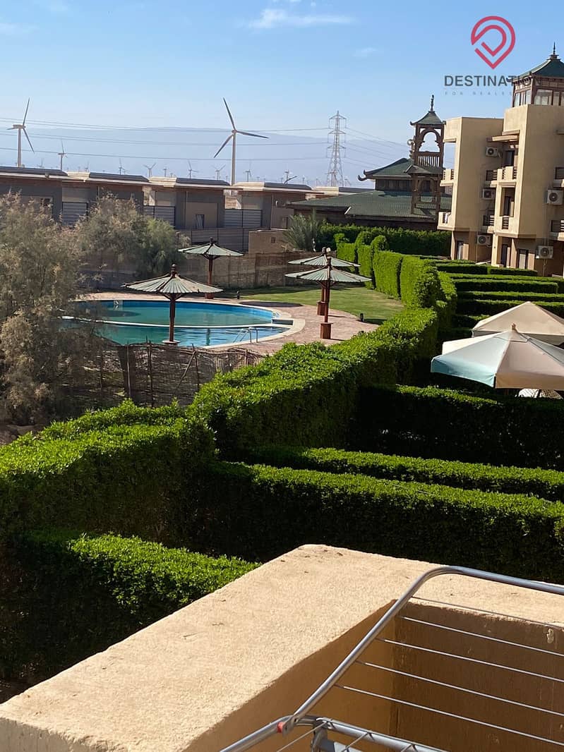 15 c1028bc3-4f2c-4d40-8a60-8366f015aba6. jpg