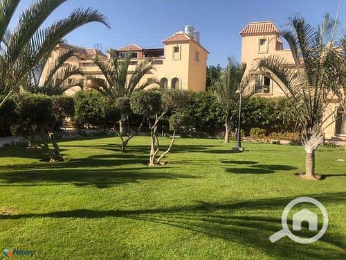 4 WhatsApp Image 2025-10-27 at 17.06. 42_17f695d2. jpg