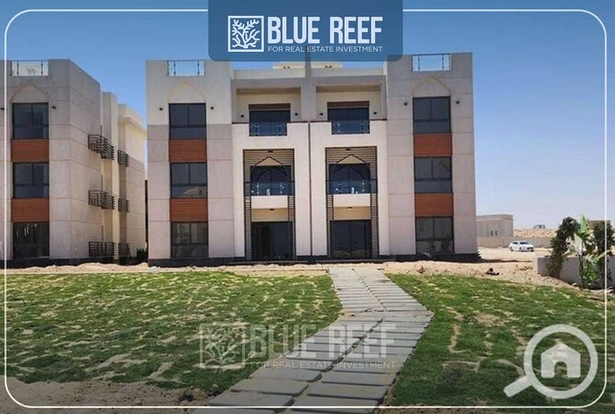 نننن. jpg نننن. jpg