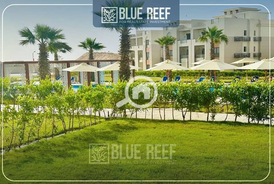 10 12345فغاى. jpg