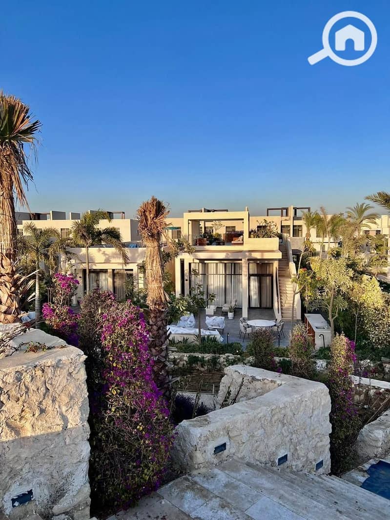 8 bb87dea5-4c16-4d74-888b-. JPG