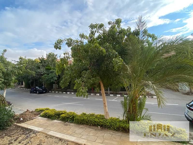 10 9697f7b1-298a-45ee-adba-f29ab059e60d. jpg