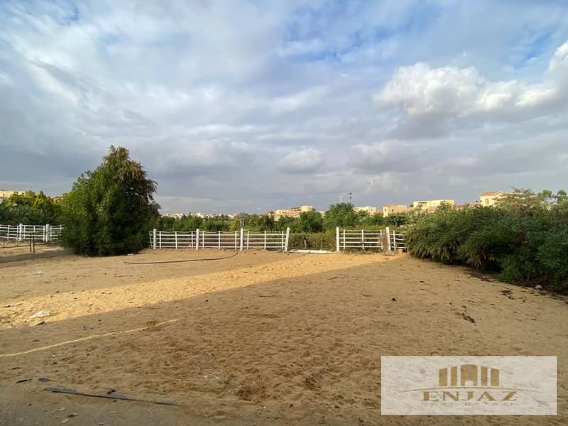 18 ffbcbc76-271f-4625-bb6b-ffbf6ffbb2e9. jpg