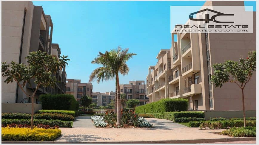 11 Screenshot (443). png