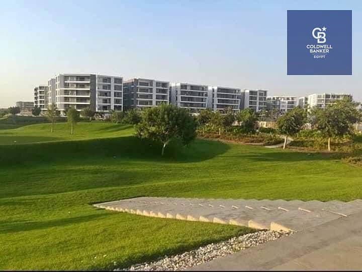 4 839f0393-eef3-4cff-a3dc-3b4ad98c2de6 - Copy. jpg