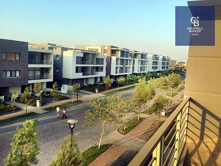 7 41710803_2012439742379903_4482669276779511808_o. jpg