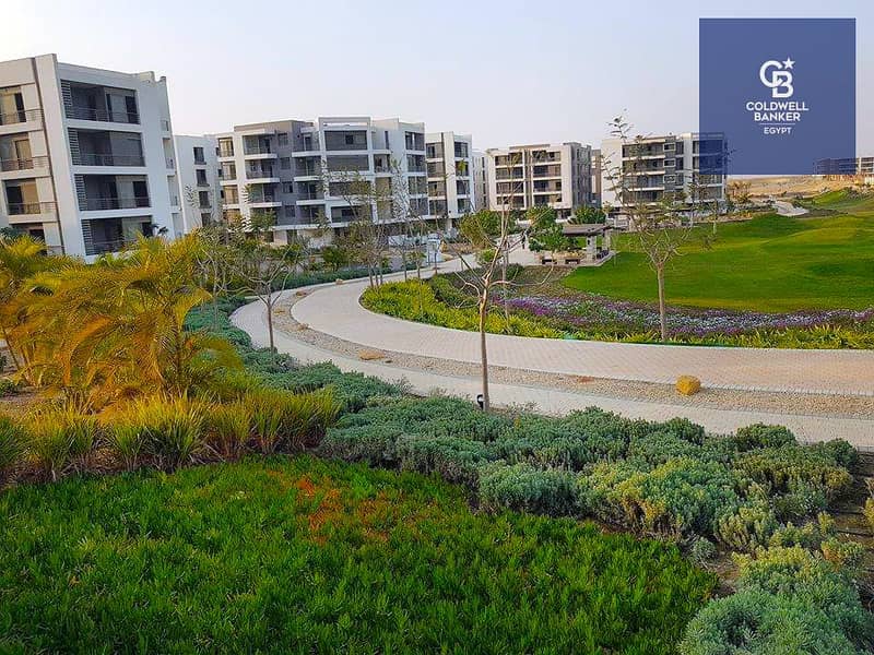 9 43412301_519257855168216_2393162254141882368_n. jpg