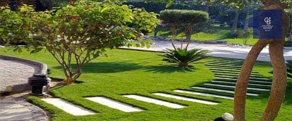 10 46349099_195766858017369_8461640036218044416_n. jpg