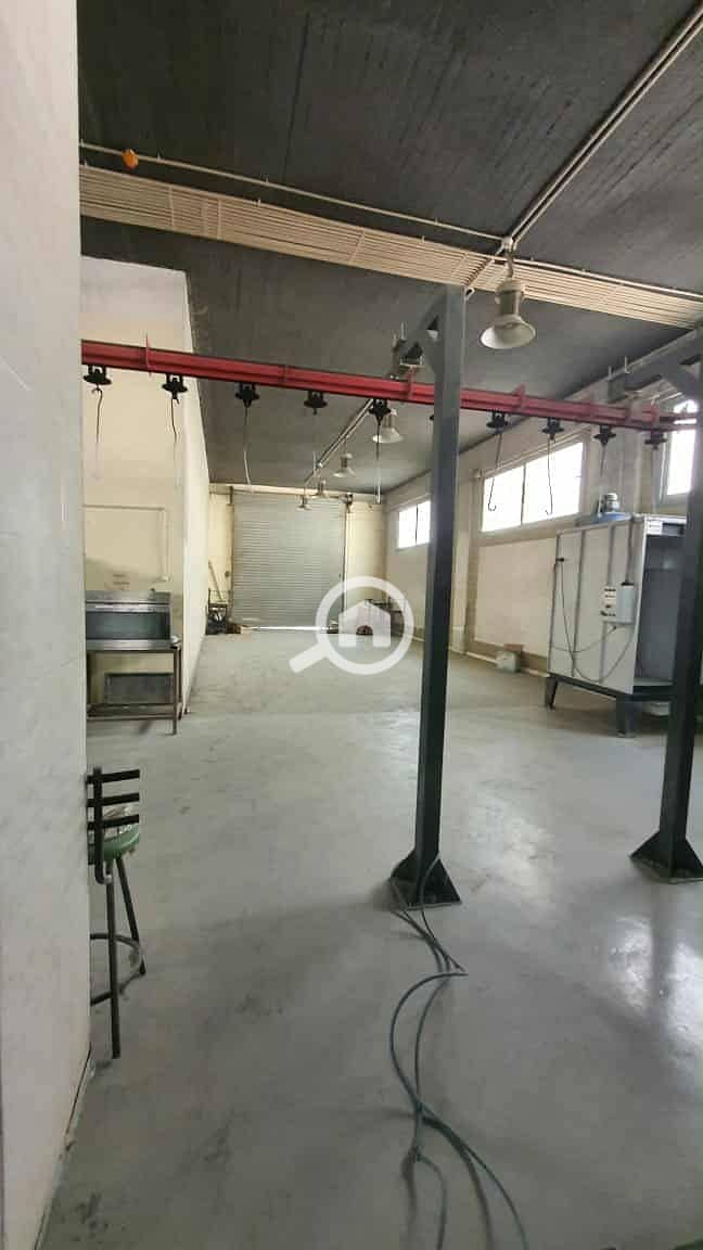 4 09be1523-818d-4cbc-823c-cc9427fafd04. jpg