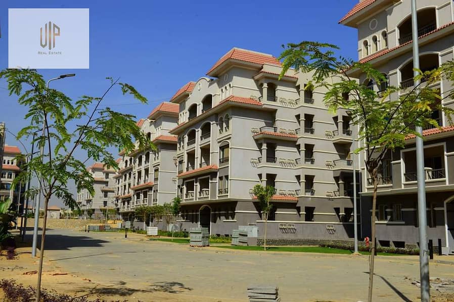 4 IMG-20251019-WA0084. jpg