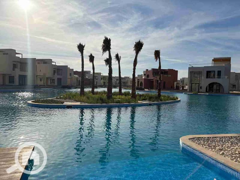 1000521204. jpg 1000521204. jpg