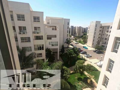 3 Bedroom Apartment for Rent in Madinaty, Cairo - 1000433676. jpg