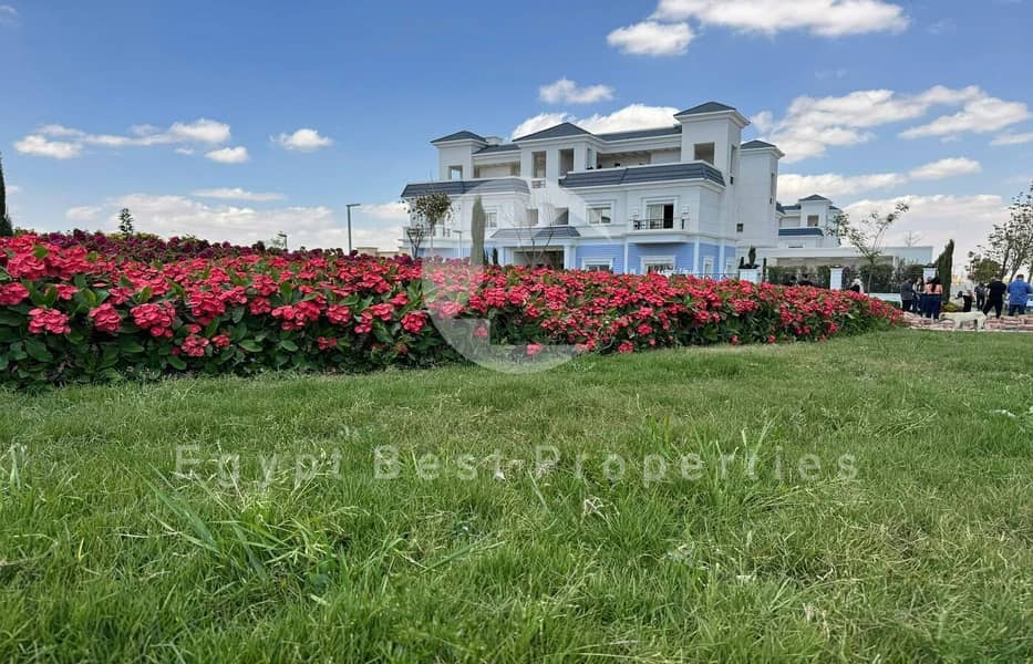 4 2f345618-0ccf-4f91-8050-e70b34d19fb1. jpg