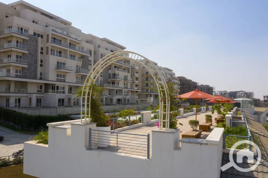 9 photo_2025-02-23_20-29-38. jpg