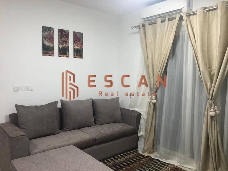 3 U733521 (22). jpeg