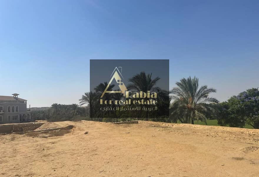 6 14ade597-0902-4dbb-a856-30ed16fce5c5. jpg