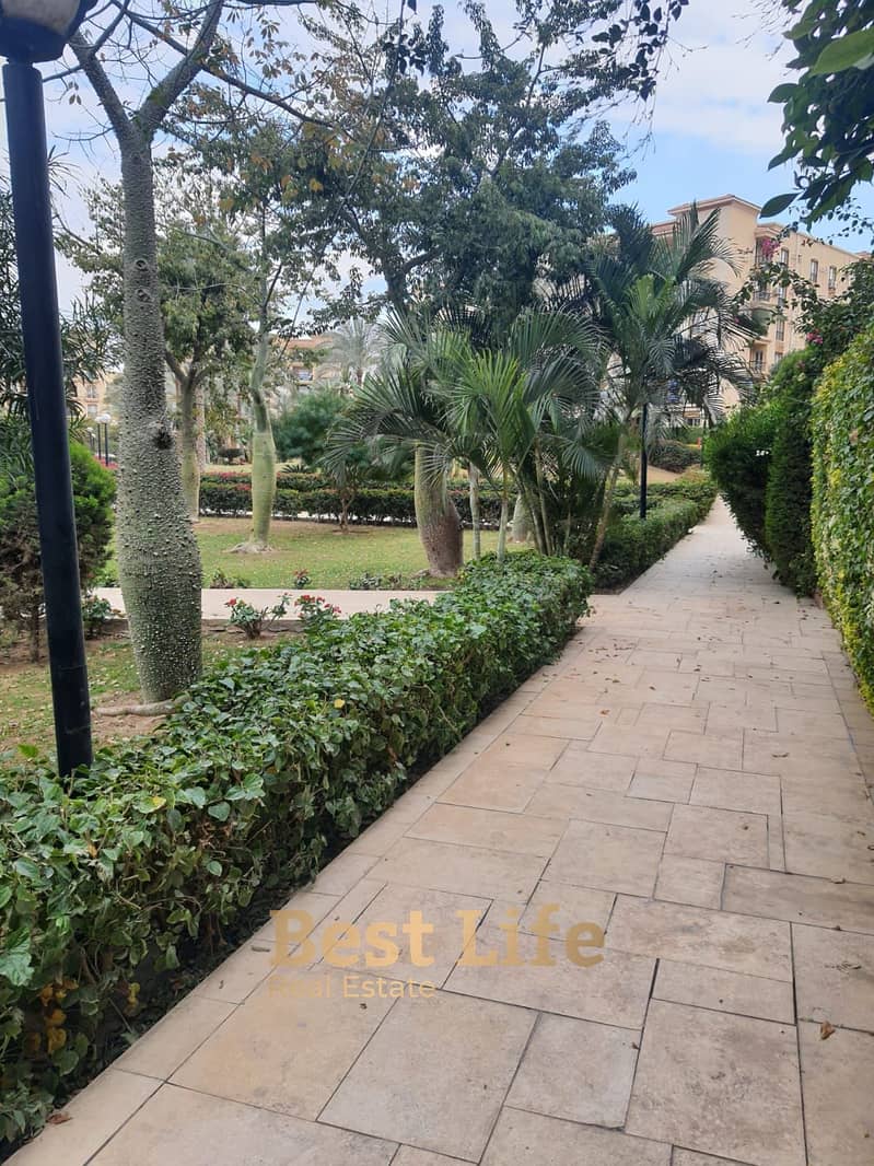 6 68d92f51b6906_43c833b5-483a-4d7a-8c2e-1d8c8e5dc828. jpg