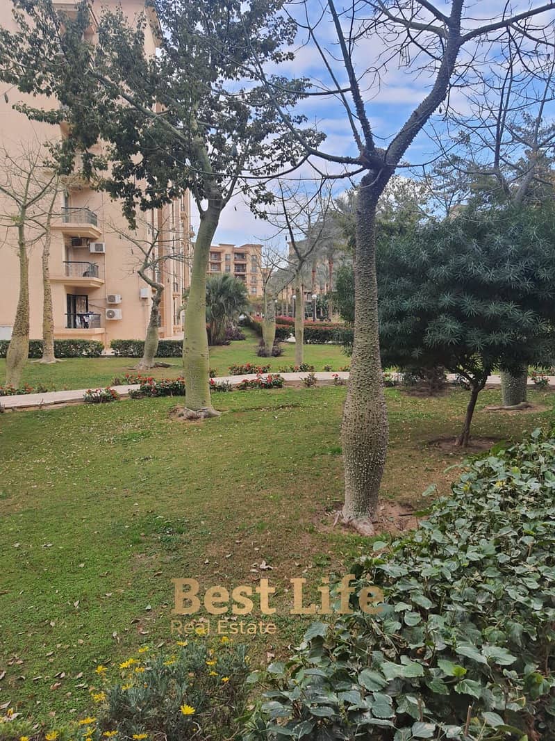 7 68d92f53a2f51_fef88b69-2527-4a08-aa2e-10eb13ac9320. jpg