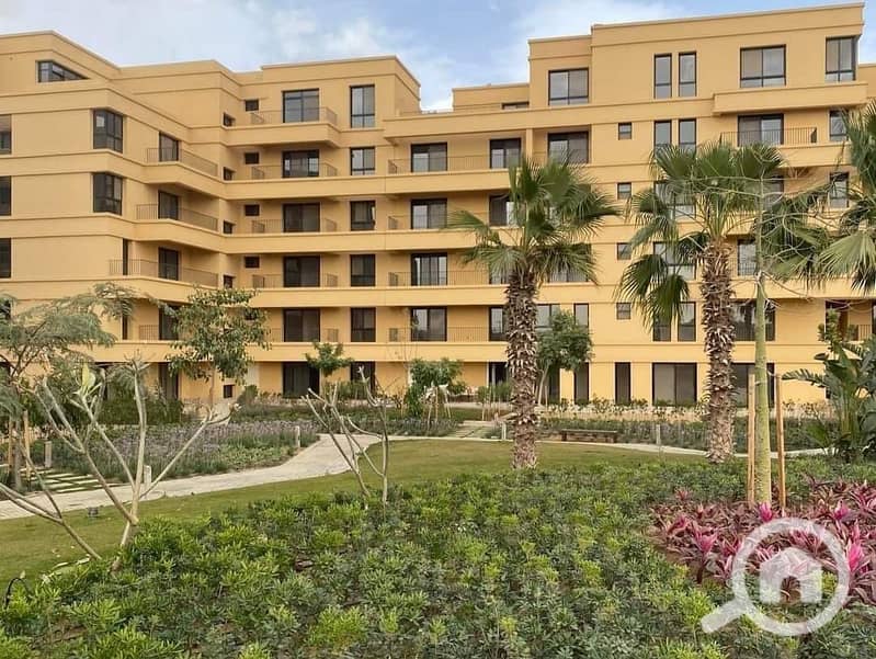 16 WhatsApp Image 2025-06-01 at 15.21. 11. jpeg