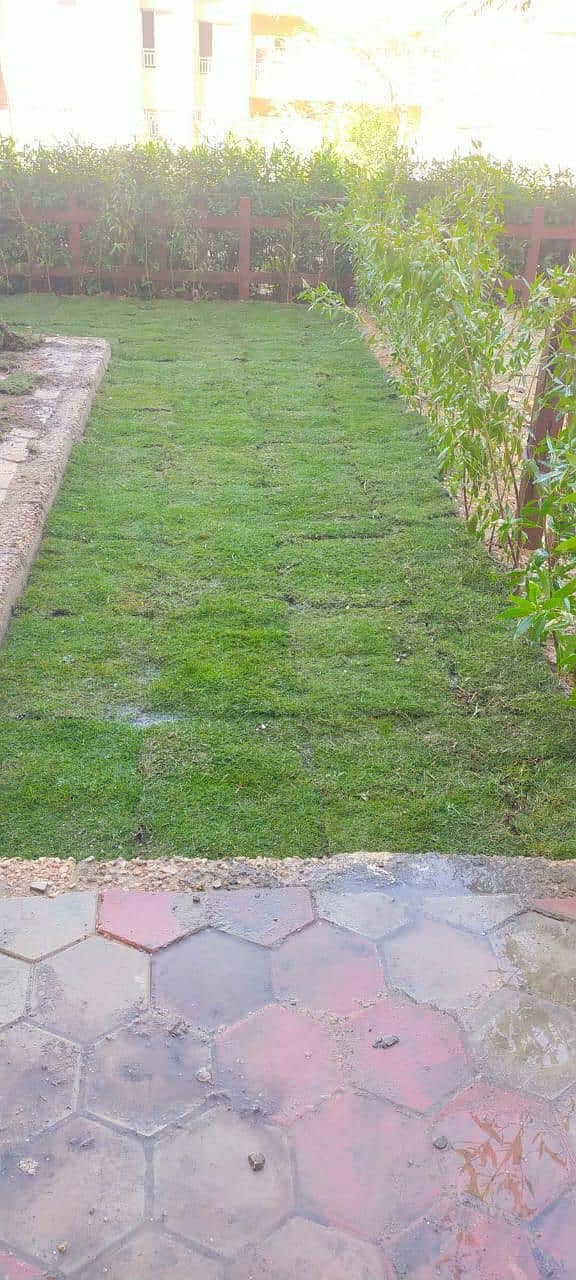 WhatsApp Image 2025-02-28 at 12.02. 38. jpeg