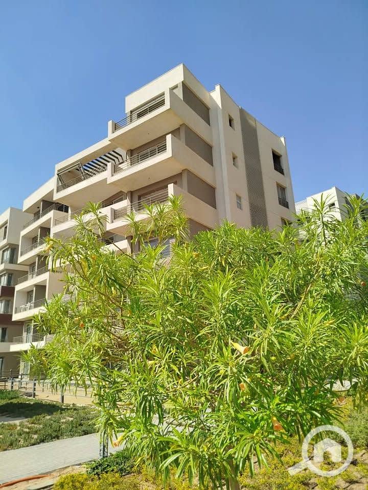 9 WhatsApp Image 2025-10-23 at 16.35. 25. jpeg