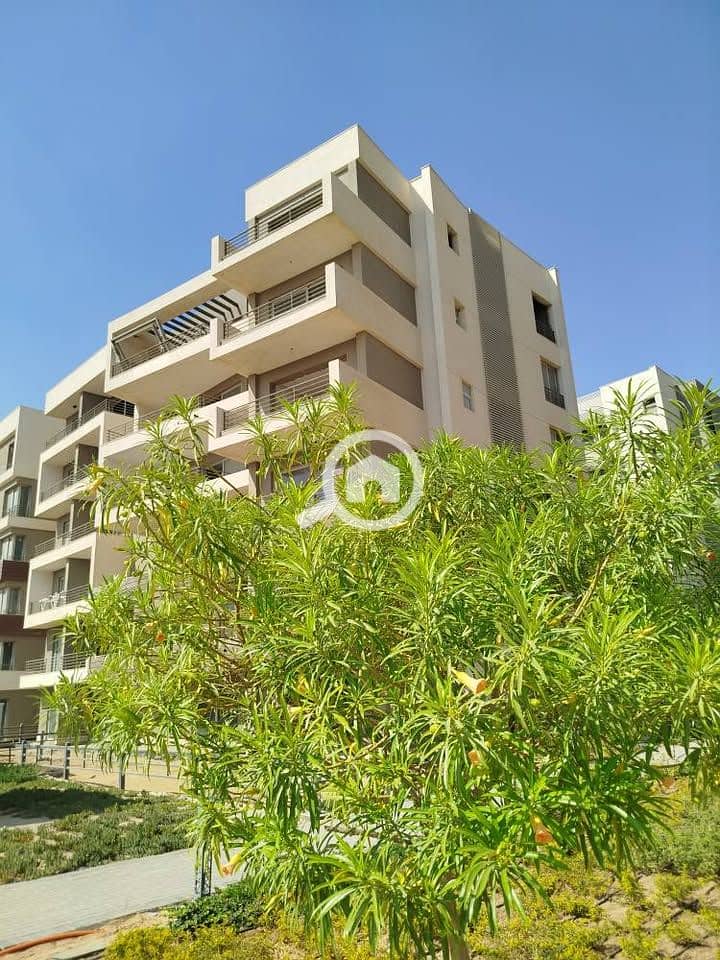 9 WhatsApp Image 2025-10-23 at 16.35. 25. jpeg