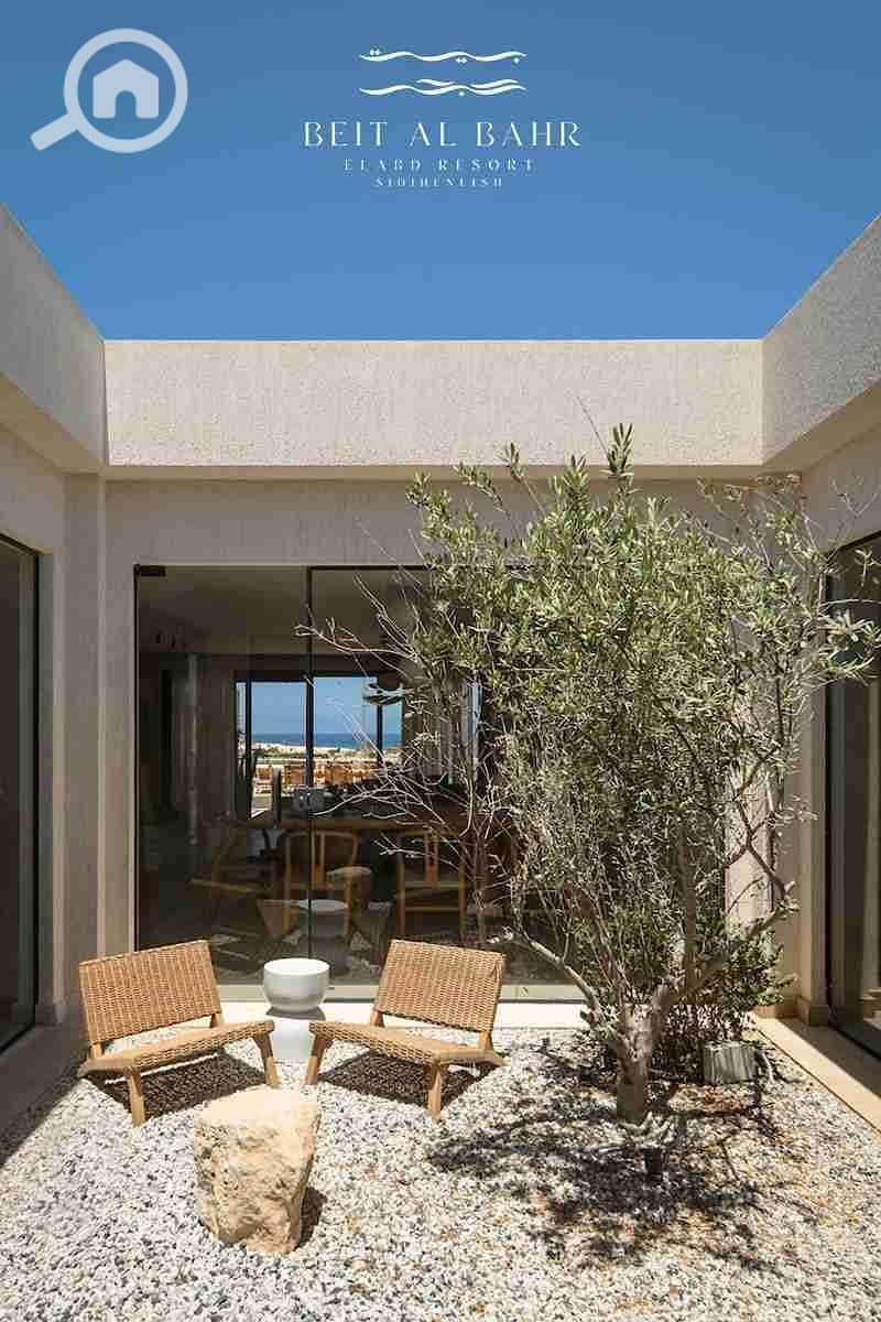 1000508066. jpg 1000508066. jpg