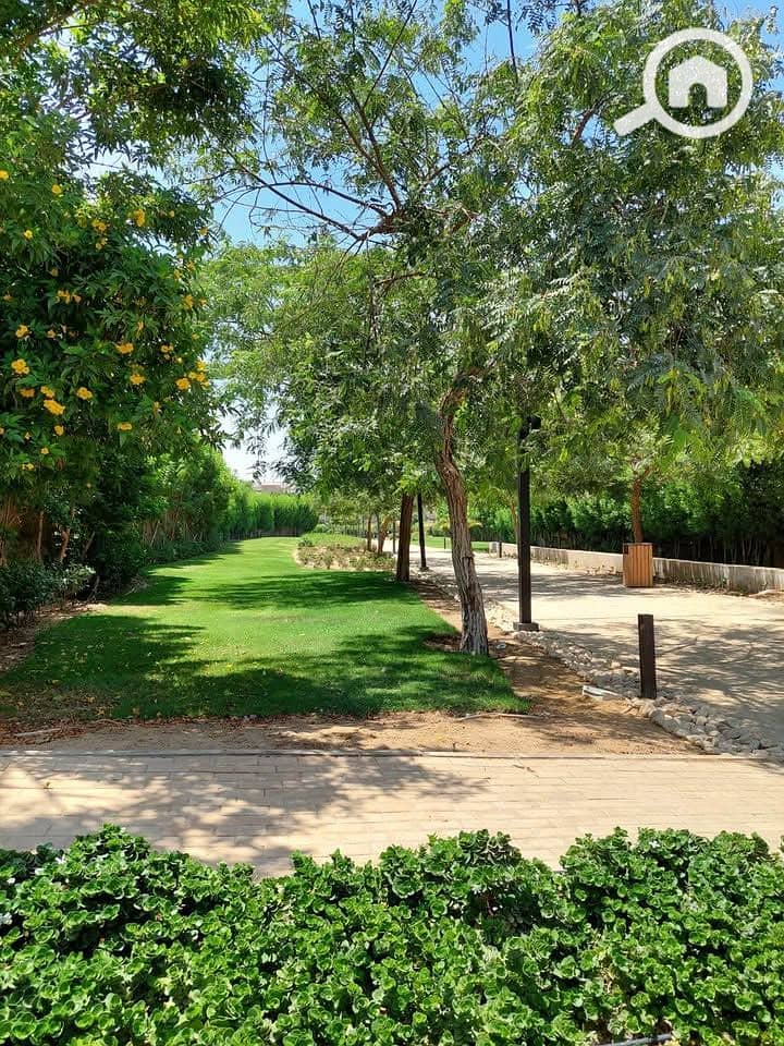 10 491735725_1353334225944350_6540739036062113648_n. jpg