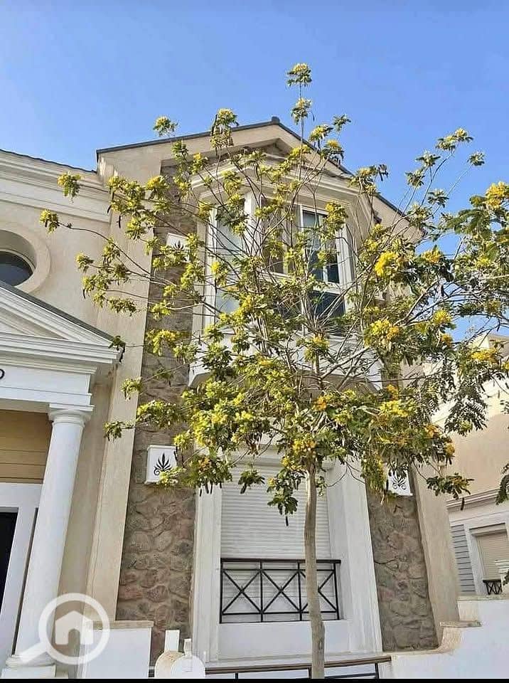 4 565647724_1250811443747183_2423293955970525220_n. jpg