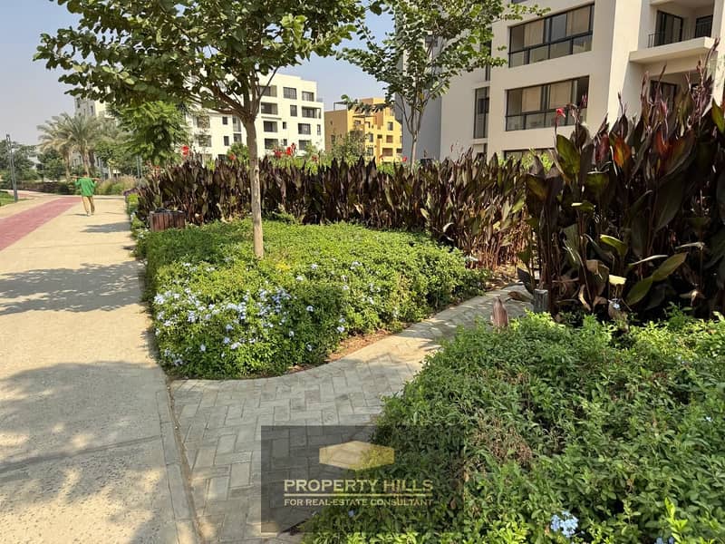 14 d2808812-ec3b-4974-923b-36fb7ee6edf2. JPG