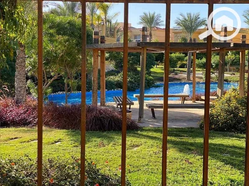 5 468056598_971395794814263_2924176773428997357_n. jpg