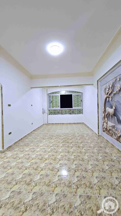 فلیٹ 2 غرفة نوم للبيع في النخيل، الإسكندرية - 1000411974. jpg