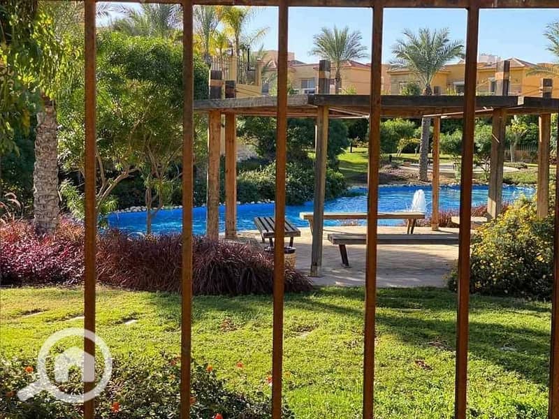 5 468056598_971395794814263_2924176773428997357_n. jpg