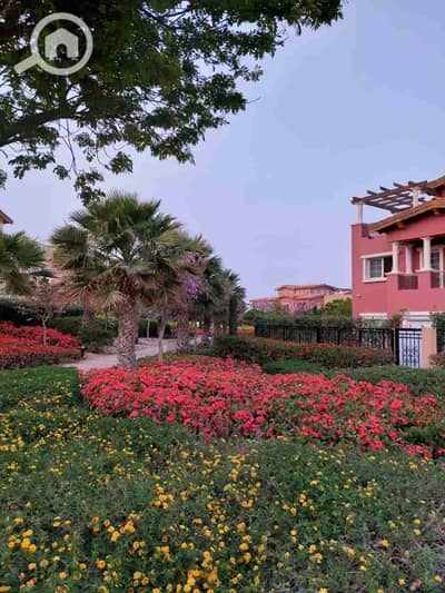 2 Bedroom Apartment for Sale in New Cairo, Cairo - 1000469330. jpg 2 Bedroom Apartment for Sale in New Cairo, Cairo - 1000469330. jpg