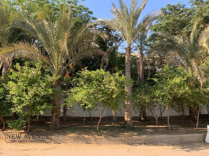 9 WhatsApp Image 2025-10-27 at 6.12. 59 PM (2). jpeg