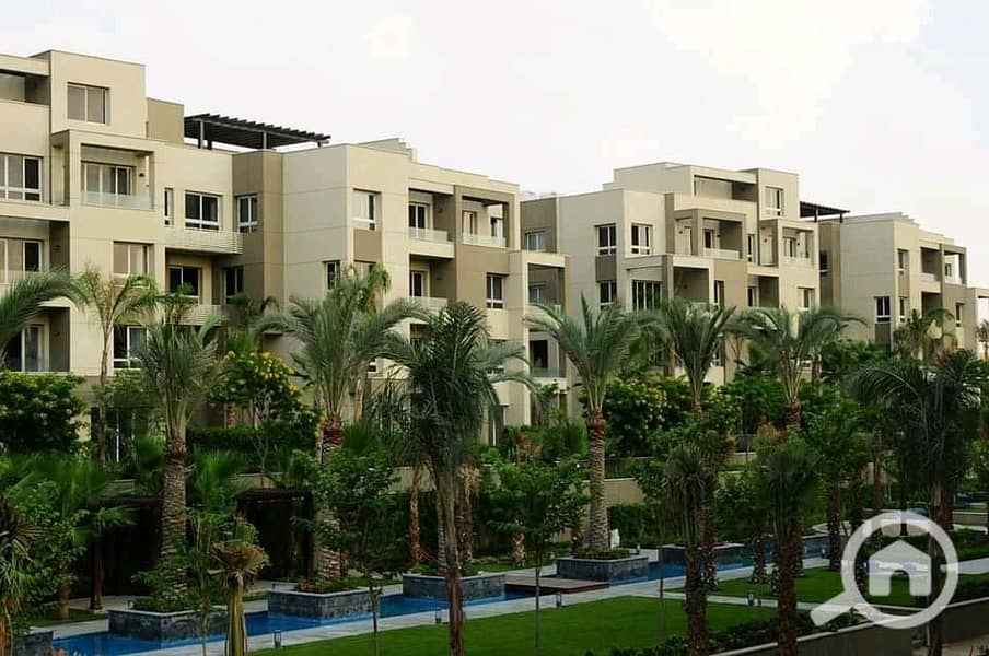 8 WhatsApp Image 2024-08-08 at 12.55. 53_da60fcd4. jpg