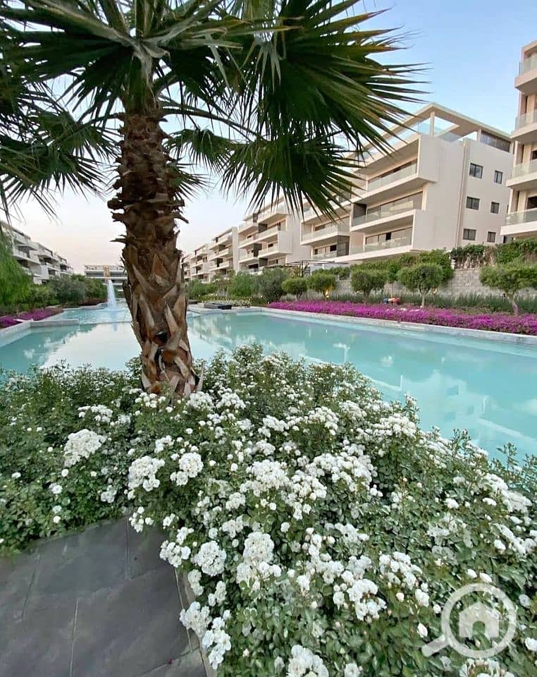 13 427964855_7328101327236284_7215733703748593086_n. jpg