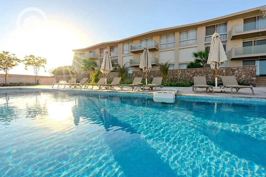 6 WhatsApp Image 2024-11-20 at 15.33. 59_a069c889. jpg