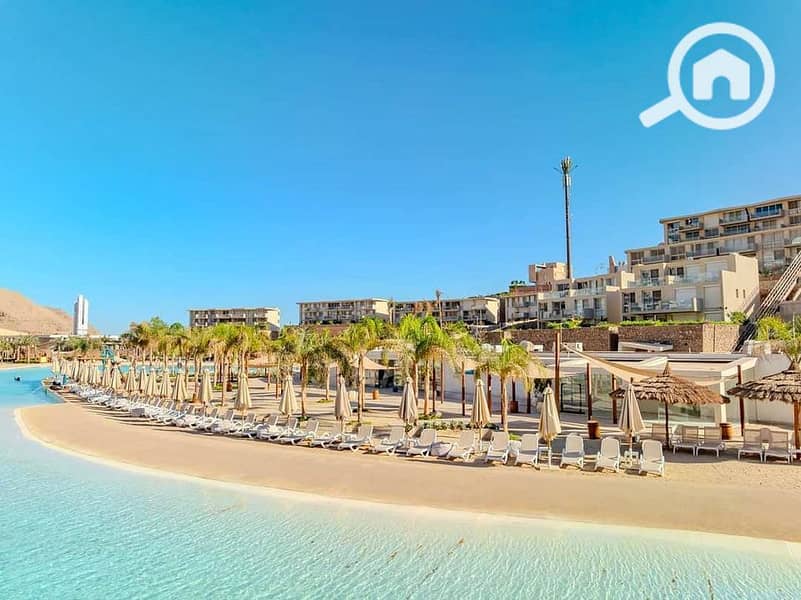 14 WhatsApp Image 2024-11-20 at 15.34. 16_eb705465. jpg