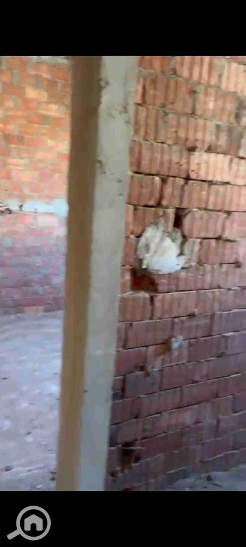 3 Screenshot_٢٠٢٥٠٨١٧_١٨١٠٥١_WhatsAppBusiness. jpg