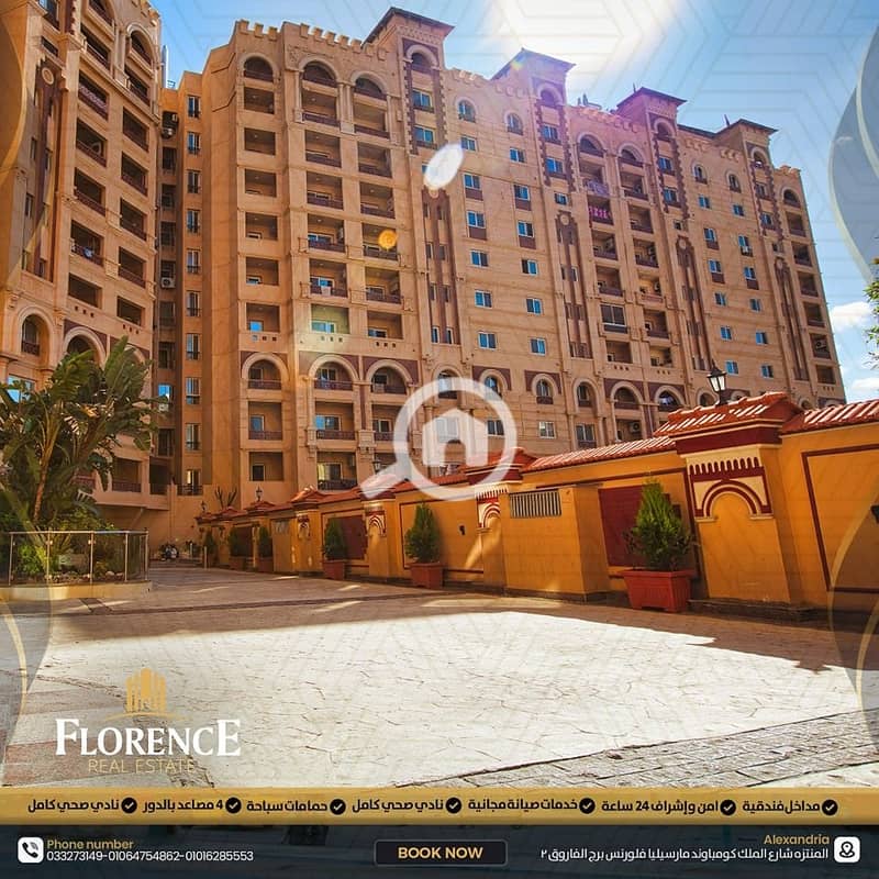 7 adb824c7-ad94-4acf-960b-bbf159978a04. jpg