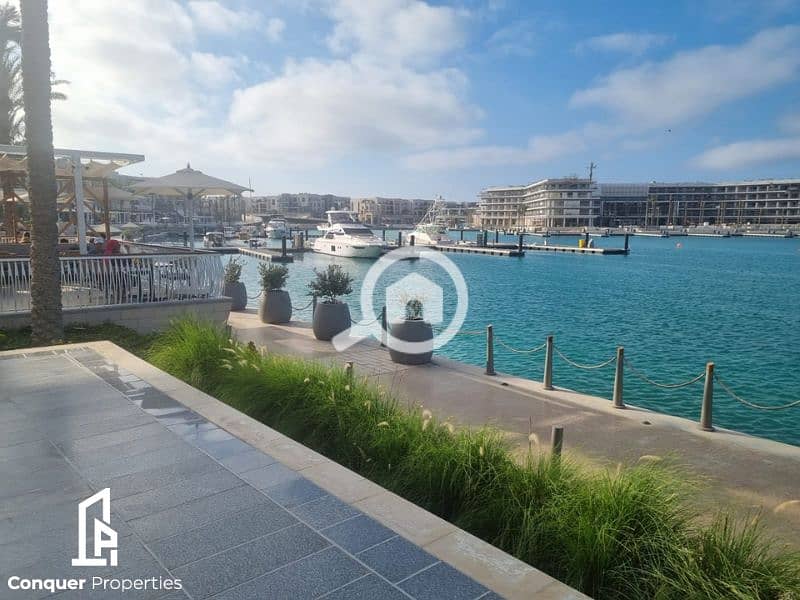 7 Untitled design - 2023-07-26T145843.169 (2). png