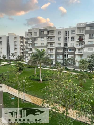 3 Bedroom Flat for Sale in Madinaty, Cairo - WhatsApp Image 2025-10-27 at 4.50. 52 PM. jpeg