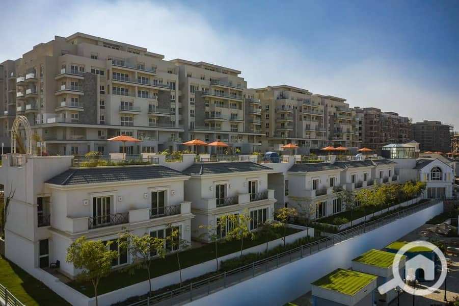 7 photo_2025-02-23_20-29-31. jpg