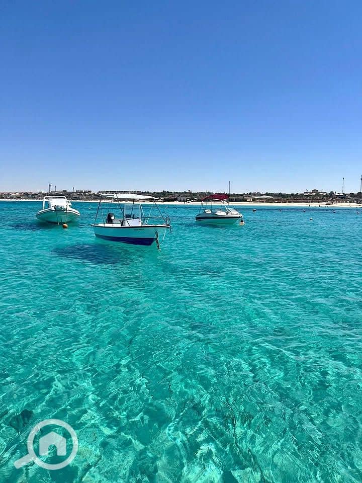 9 550892146_2053156265456835_4524731763277149083_n. jpg