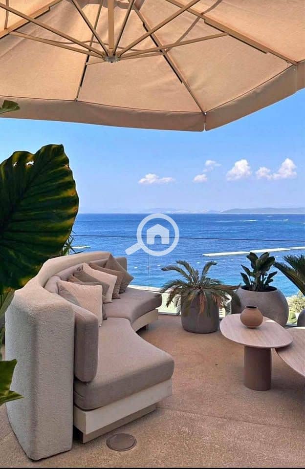 11 555459475_2356282071495165_7504157510876246486_n. jpg