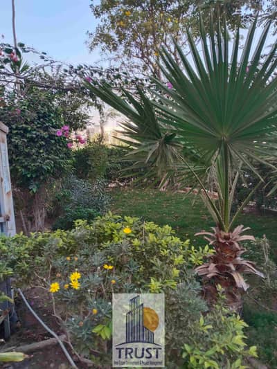 4 Bedroom Apartment for Rent in Sheikh Zayed, Giza - 1000331645. jpg