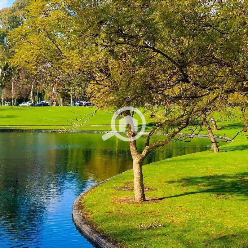 10 552743699_2388099191586822_810731885580841708_n. jpg