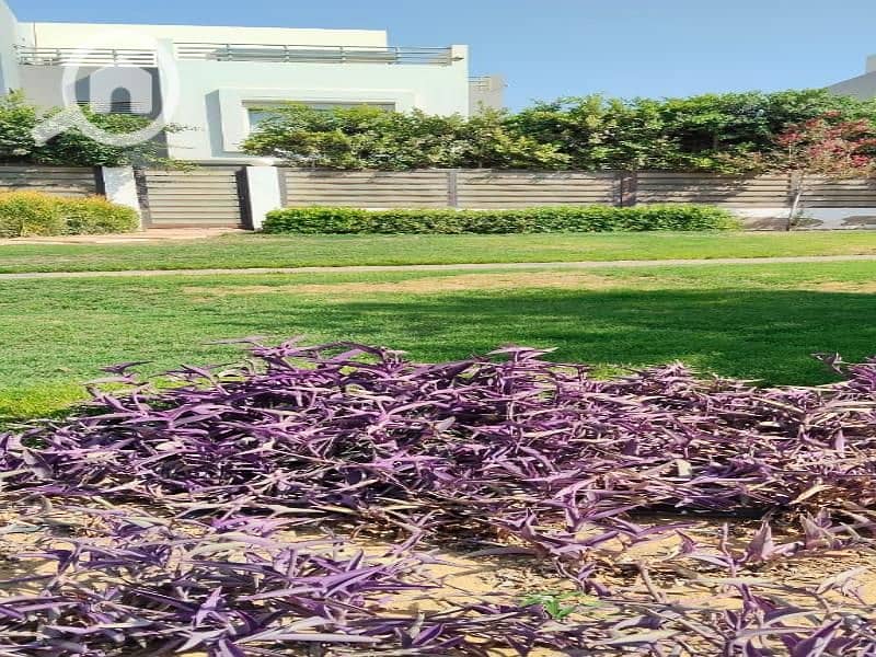 5 WhatsApp Image 2025-10-27 at 5.54. 24 AM (1). jpg